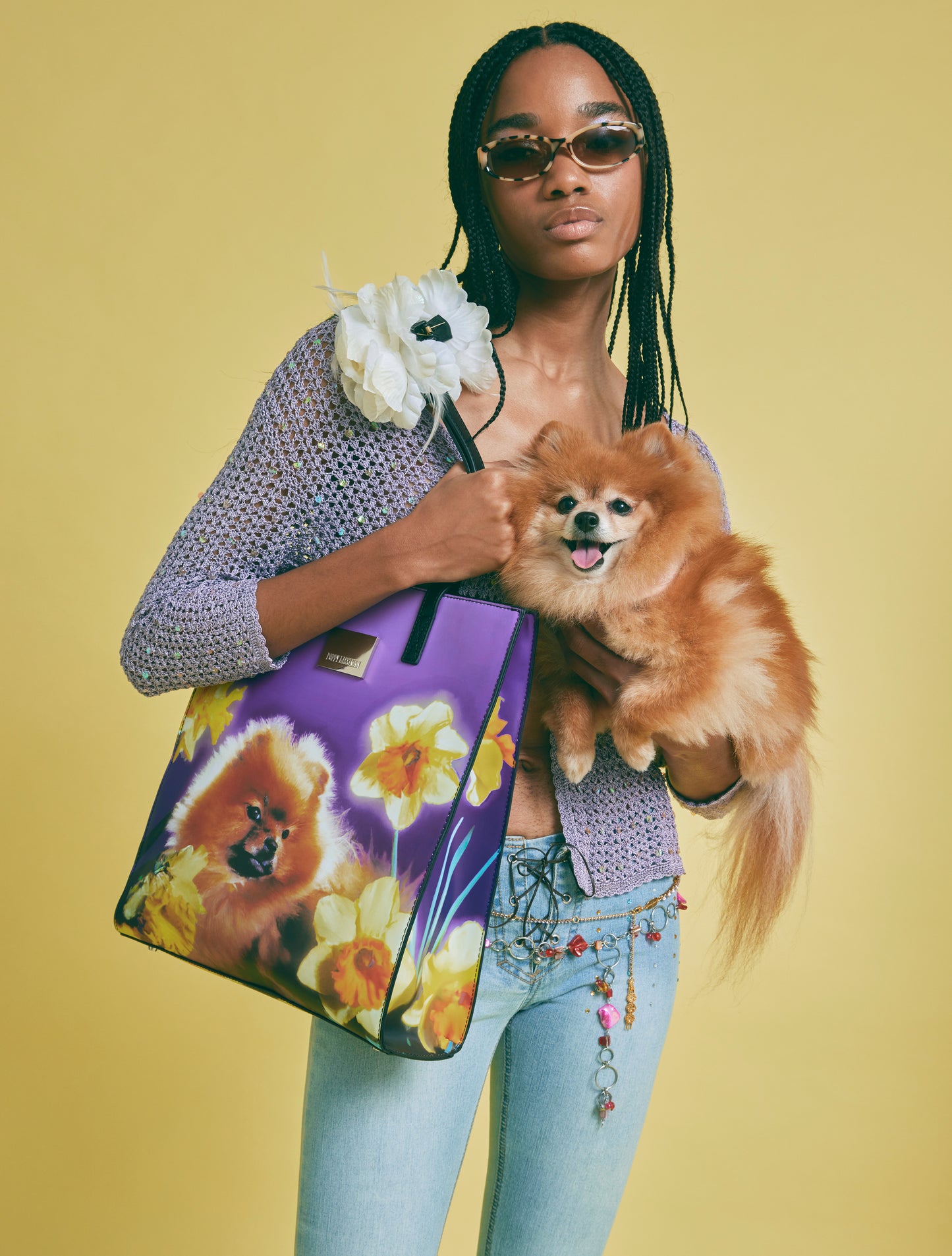 Pet Book Bag - Pom