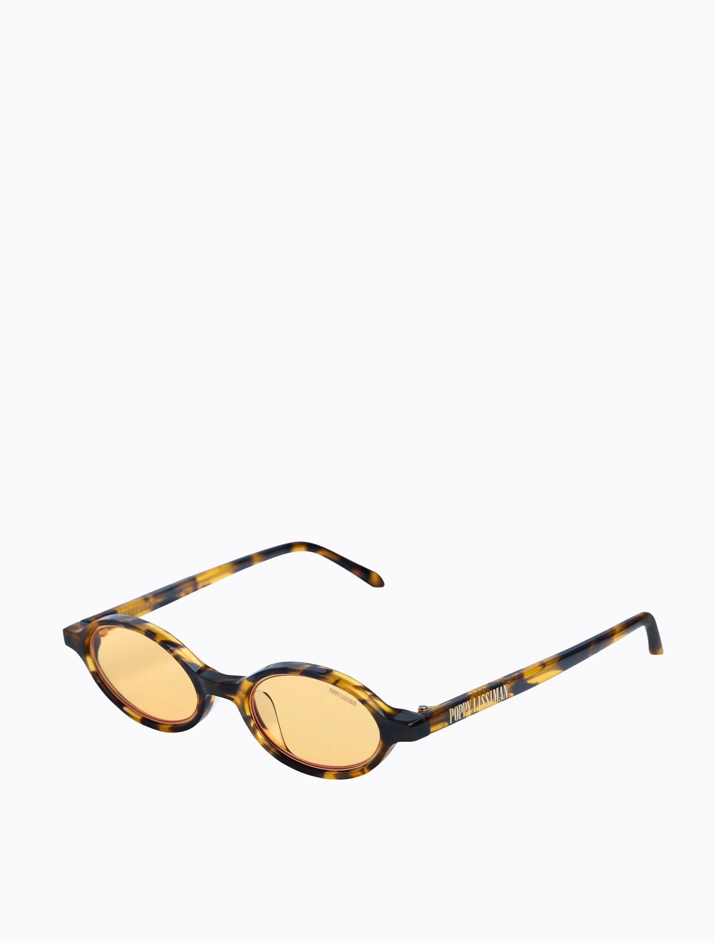 Bertie - Yellow Torti / Yellow