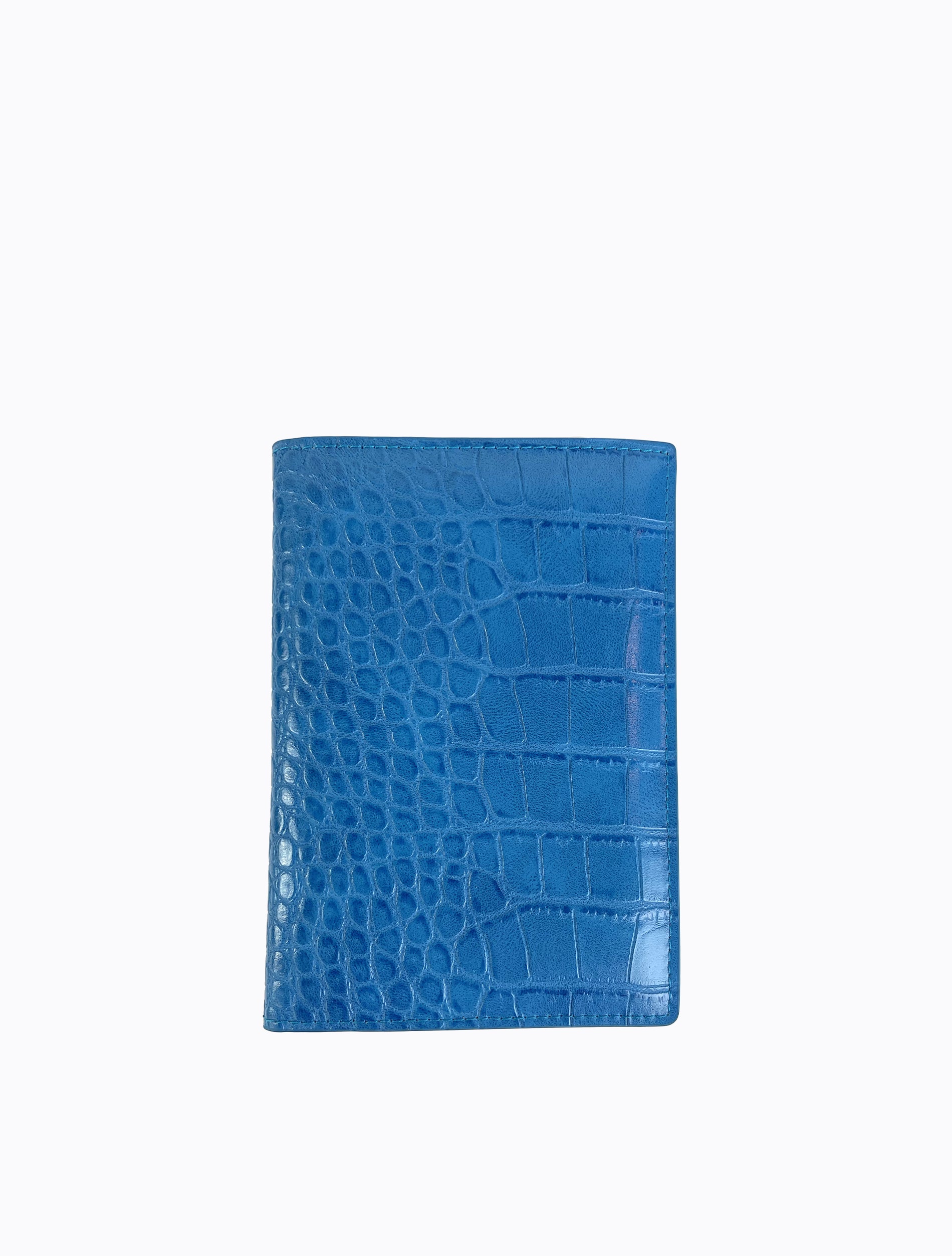 Skip Passport Holder Electric Blue