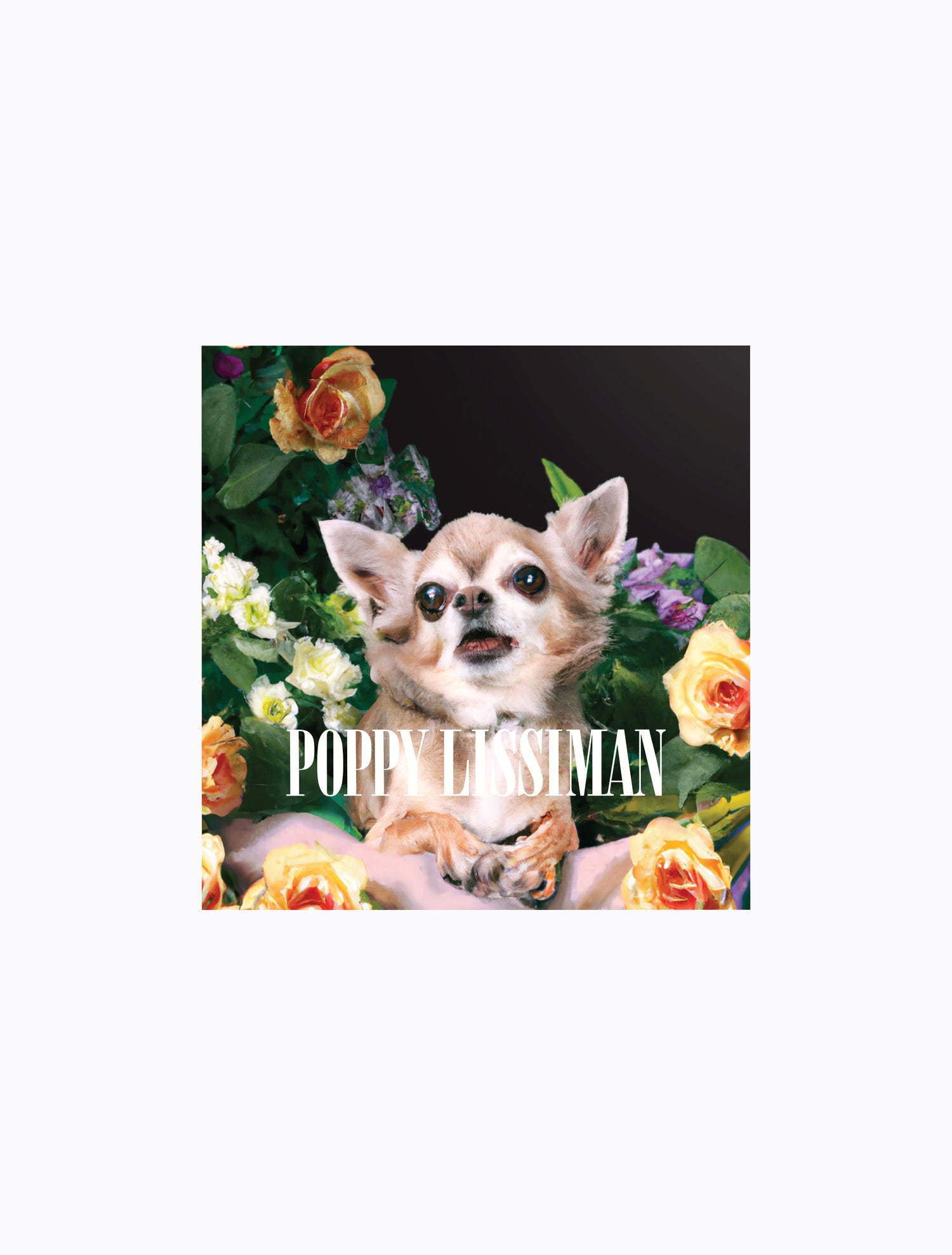 PL Sticker Pack – Poppy Lissiman